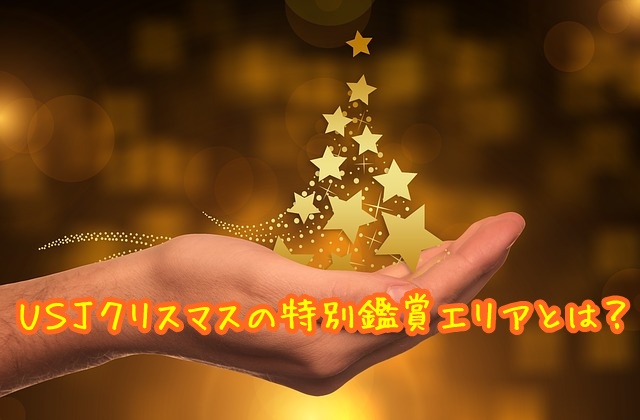 USJ　クリスマス　特別鑑賞エリア