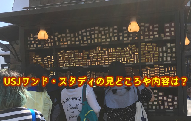 USJ　ワンドスタディ　見所　内容