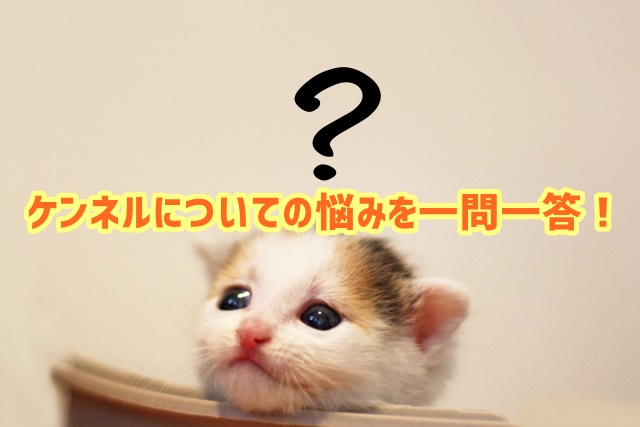 USJ ケンネル 悩み 一問一答