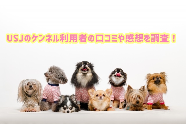 USJ ケンネル 口コミ 感想
