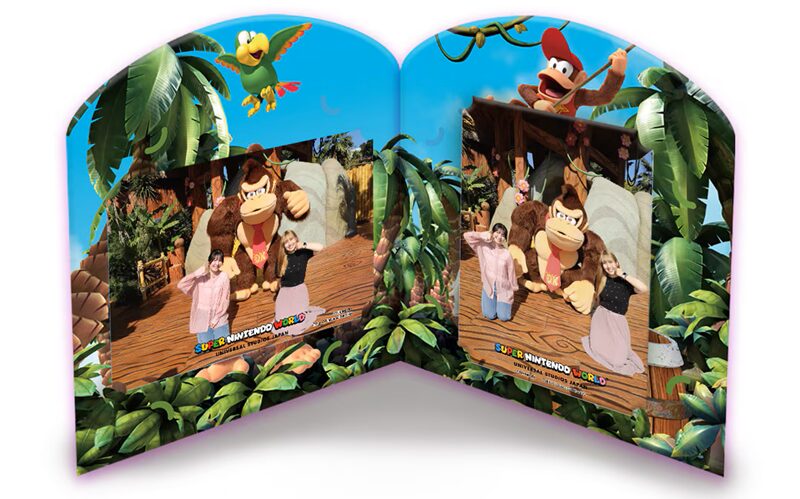 ドンキーコング・フォト・オポチュニティ